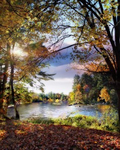 For the beauty of the earth, for the glory of the skies